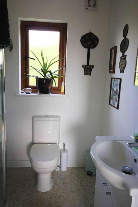 Spacious Cabin On Isolated Farm With Sea View Bude Bagian luar foto
